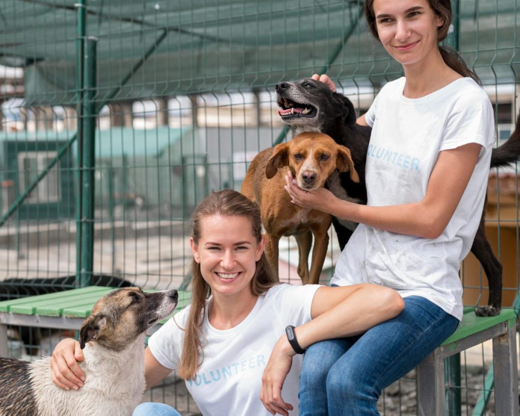 Cuidado de Animais